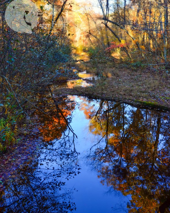 Beautiful Reflection of Pickle Creek