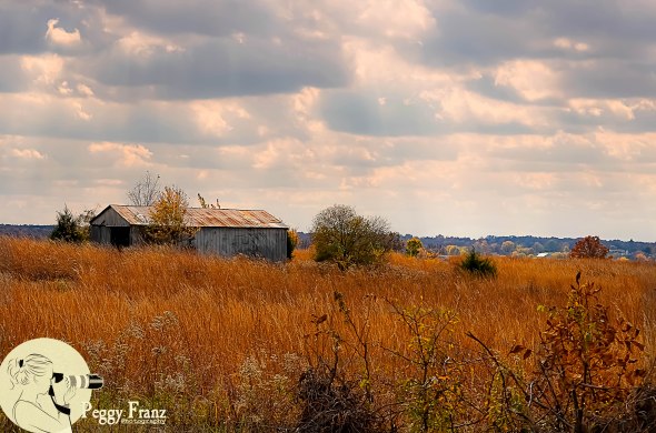 A capture of this abandoned farm with the wheat field  